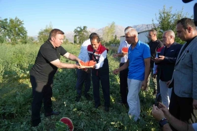 Erzincan’ın bereketli topraklarında üretilen karpuzun hasadı başladı
