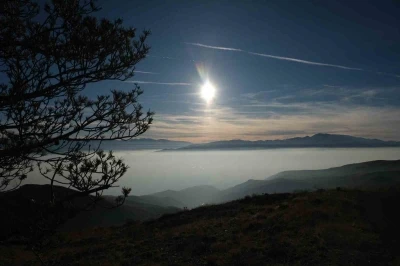 Erzincan Ovası "Pamuk Denizine" d&ouml;nd&uuml;
