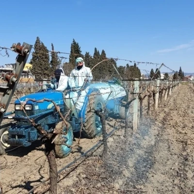 Erzincan Tarım M&uuml;d&uuml;rl&uuml;ğ&uuml;&rsquo;nden bordo bulamacı uyarısı: Uygulama zamanını ka&ccedil;ırmayın
