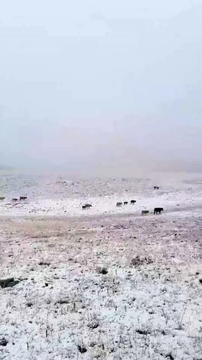 Erzurum’a mevsimin ilk karı yağdı
