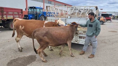 Erzurum&rsquo;da kurban pazarı hareketlendi

