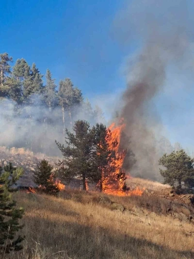 Erzurum’da orman yangını
