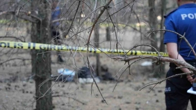 Erzurum’da ormanlık alanda erkek cesedi bulundu
