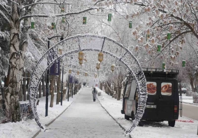 Erzurum&rsquo;da soğuk havanın etkisiyle ağa&ccedil;lar kırağı tuttu
