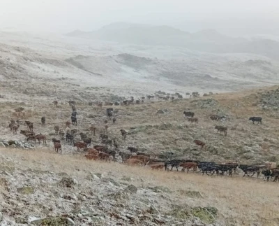 Erzurum’da yüksek kesimlere kar yağdı
