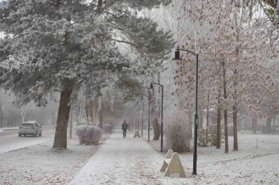 Erzurum güne sis ve kırağı ile uyandı
