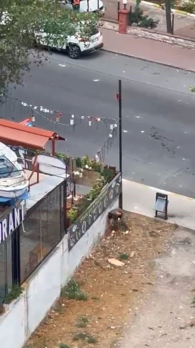 Esenyurt’ta bir kadın yoldan geçen araçlara taşla saldırdı
