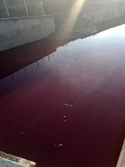 Esenyurt’ta derenin rengi kırmızıya döndü
