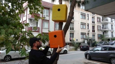 Eski dron çantaları kuş yuvasına dönüştü
