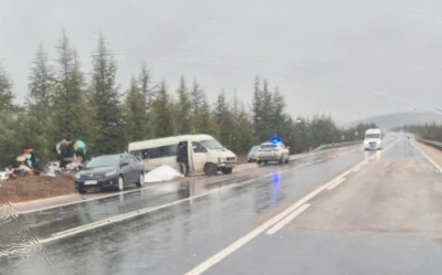 Eskişehir- Afyonkarahisar yolunda kontrolden &ccedil;ıkan minib&uuml;s şarampole savruldu
