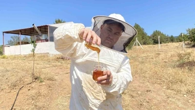 Eskişehir’de 2 bin 925 prolin değeri ile dünyanın en iyi balını üretti
