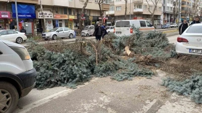 Eskişehir&rsquo;de fırtına sebebiyle ağa&ccedil;lar devrildi
