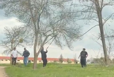 Eskişehir&rsquo;de &lsquo;mangal i&ccedil;in ağa&ccedil; dalını kırmaya &ccedil;alıştılar&rsquo; iddiası
