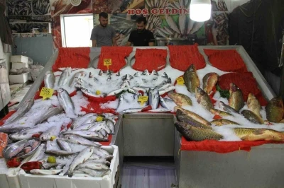 Esnafta ‘balık sezonu’ hazırlığı
