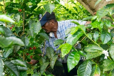 Espressolab&rsquo;den kahve &uuml;retiminde şeffaf ve izlenebilir sistem
