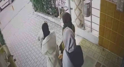 Ev fareleri kameraya yakalandı
