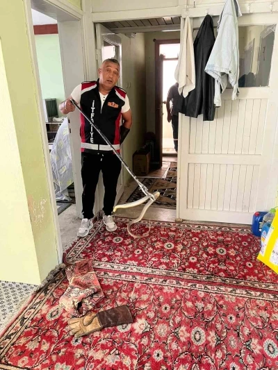 Evde yılan paniği
