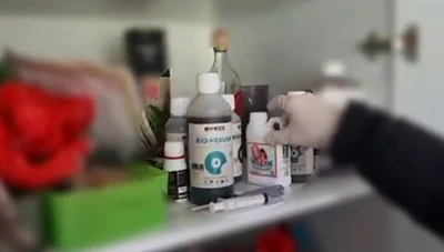 Evin bir odasını uyuşturucu serasına &ccedil;eviren ş&uuml;phelileri polis yakaladı
