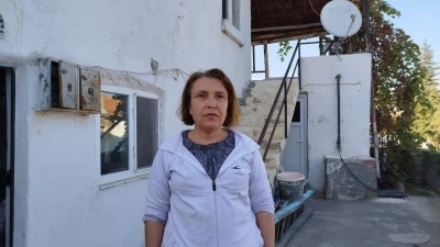 Evin çatısına yuva yapan eşek arıları hastanelik etti
