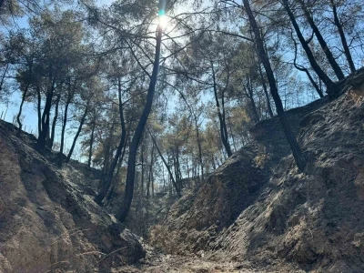 Evini yangından korumak için mücadele ederken kalp krizi geçirdi
