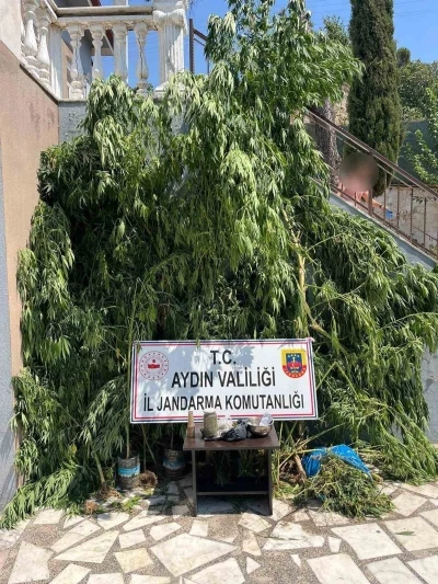 Evinin bahçesine saklamak istedi, narkotik köpeğine takıldı
