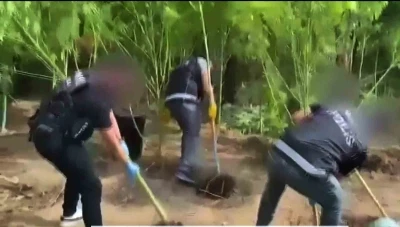 Evlerinin bahçesini uyuşturucu bahçesine çevirmişler
