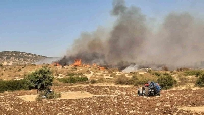 Ezine’de başlayan orman yangını kontrol altına alındı
