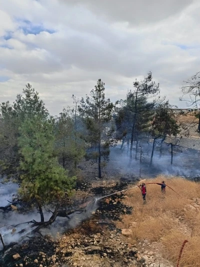 Fabrikanın ağaçlık alanında çıkan yangın korkuttu

