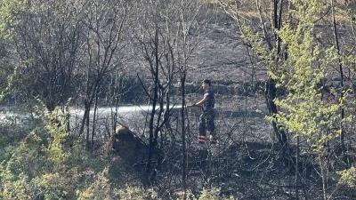 Faciayı itfaiye önledi
