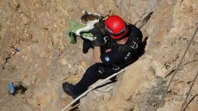 Falezlerde mahsur kalan kedi, itfaiyenin 1 saatlik &ccedil;alışmasıyla kurtarıldı
