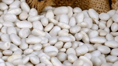 Fasulyeden gelen ölüm!