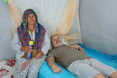 Fel&ccedil;li eşinin rahat etmesi i&ccedil;in başında sinek n&ouml;beti tutuyor
