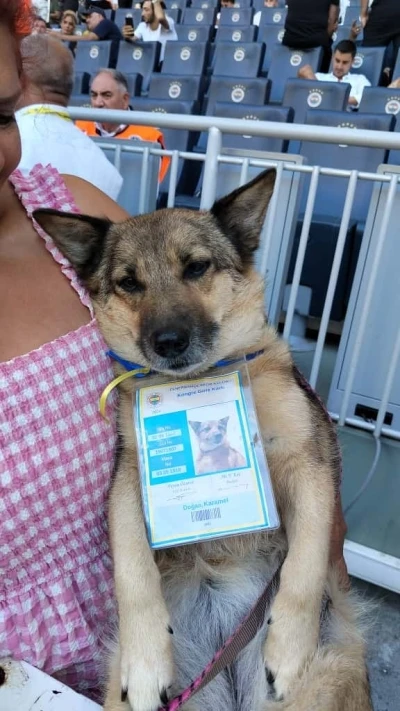 Fenerbahçe başkanlık seçiminde oy kullanma sona erdi
