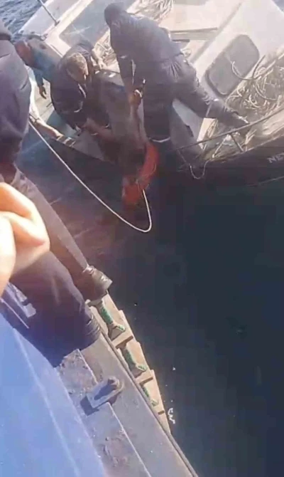 Feribottan atlayan kişiyi Gestaş personelleri ve balık&ccedil;ılar kurtardı
