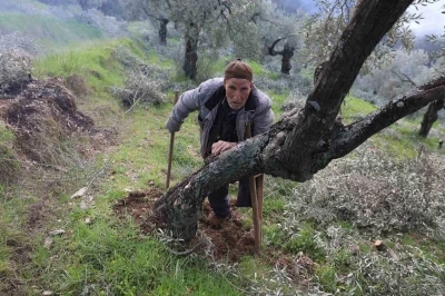 Film sahnesi değil ger&ccedil;ek hayat
