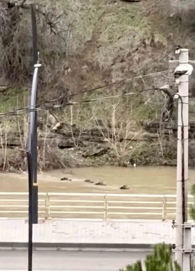 Filyos &Ccedil;ayı&rsquo;nı y&uuml;zerek ge&ccedil;en yaban domuzları kamerada
