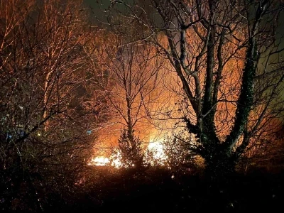 Filyos&rsquo;ta ağa&ccedil;lık alanda &ccedil;ıkan yangın korkuttu
