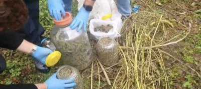 Fındık bahçesindeki bidonlardan uyuşturucu çıktı
