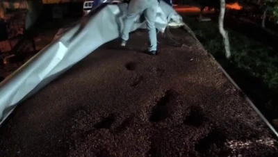 Fındıkla kamufle edilen tırdan 30 milyonluk ka&ccedil;ak makaron &ccedil;ıktı: 4 g&ouml;zaltı
