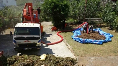 Fındıkta patoz mesaisi başladı: Saatlik ücreti 4 bin 500 TL
