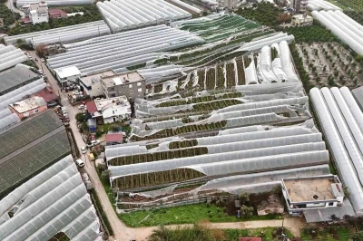 Finike&rsquo;de hortumdan zarar g&ouml;ren seralarda hasar tespiti başladı

