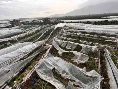 Finike&rsquo;de hortumun verdiği hasar g&uuml;nd&uuml;z ortaya &ccedil;ıktı

