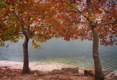 Fırat’ın sessiz akışına sonbahar renk kattı
