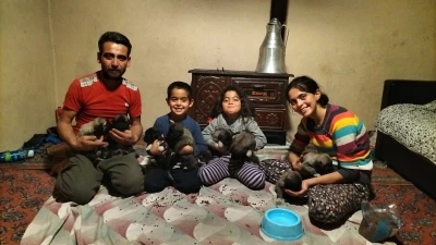 Fırtına sonrası devrilen ağa&ccedil;ların altında kalarak telef olan anne k&ouml;peğin yavrularına sahip &ccedil;ıktılar
