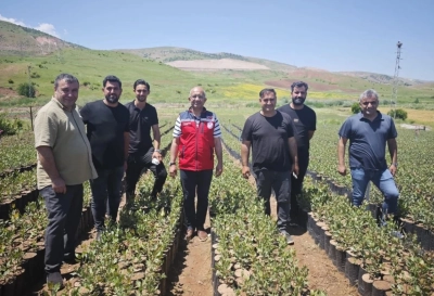 Fıstık Fidanlarında Kalite ve Sertifikalı &Uuml;retim Vurgusu