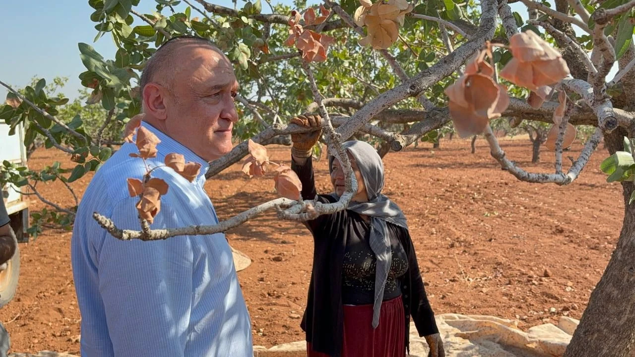 Fıstık İthalatı Gaziantep Çiftçisine İhanettir