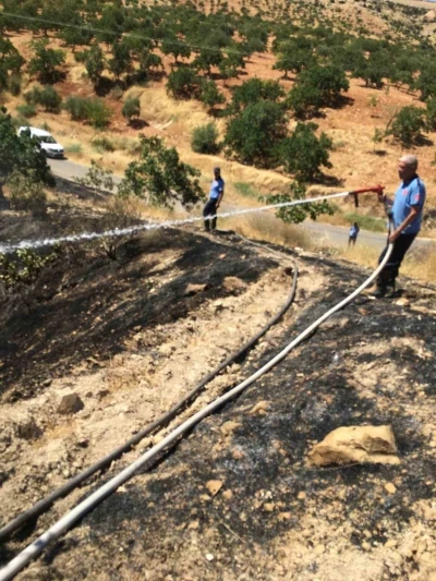 Fıstık tarlasındaki yangına m&uuml;dahale ederken hayatını kaybetti
