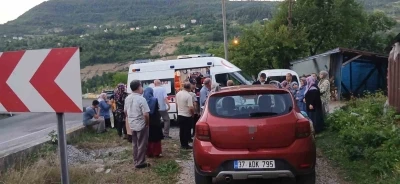 Freni tutmayan hafif ticari ara&ccedil;, anne ile iki &ccedil;ocuğuna &ccedil;arptı
