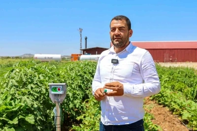 Gaziantep Büyükşehir, ata tohumlarına sahip çıkıyor
