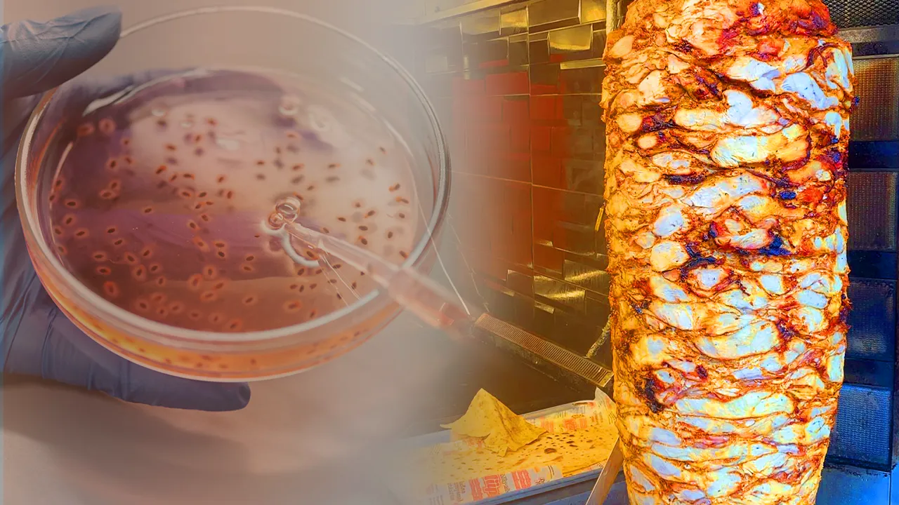 Gaziantep dahil tüm yurtta kritik Salmonella uyarısı